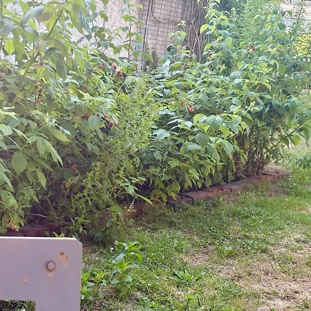 Magnificent Bourgeois On Wooded Estate Hébergement de vacances Charleville-Mézières